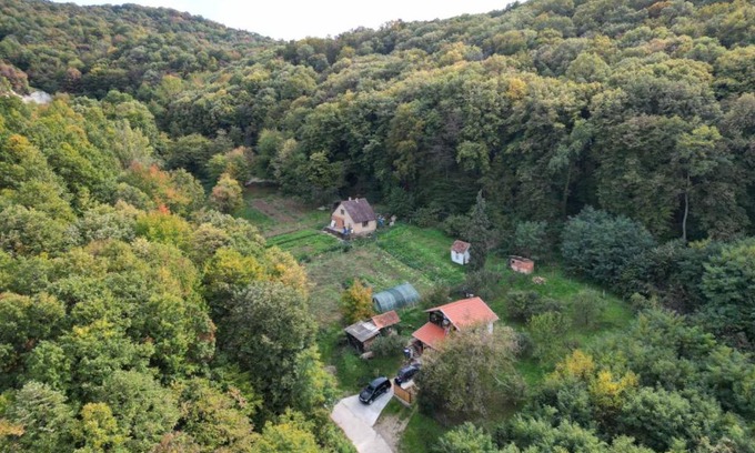 Beocin House | Zaborav