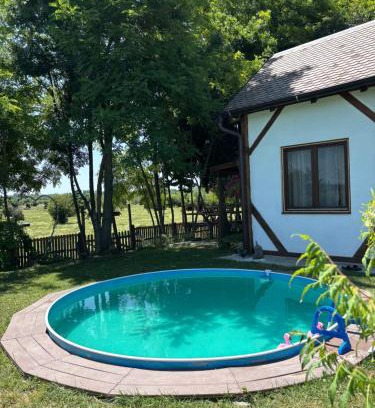 Zasavica House | Zasavčanka