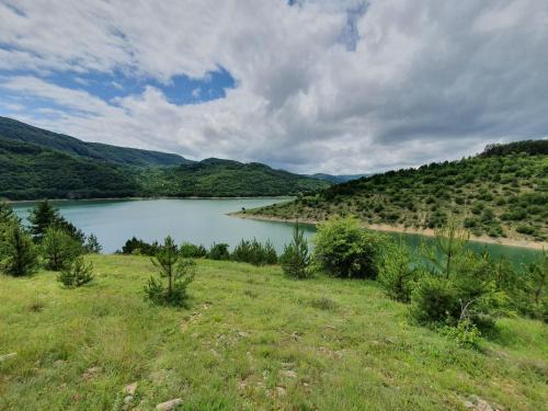 Stara Planina House | Zavojsko jezero Pirot - smestaj Manic