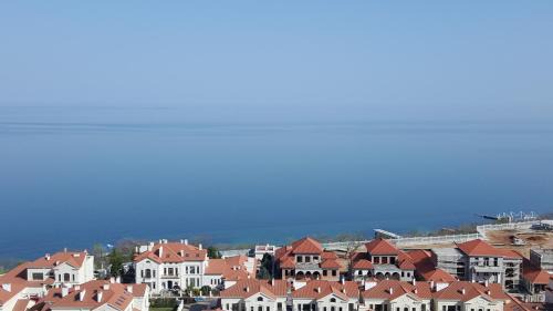 Arcadia Apartment | Zhemchuzhyna Apartment in Arkadiya