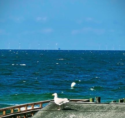 Zingst House | Zimmer " Sonnenschein"