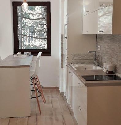 Zlatibor Apartment | Zlatibor Wood
