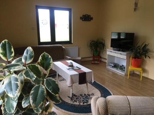 Bajina Basta Apartment | Zvezdica