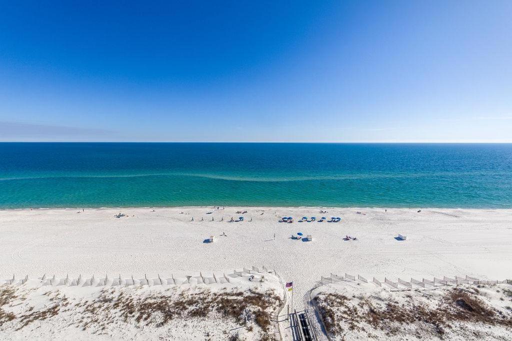 Photo of Others in Orange Beach East