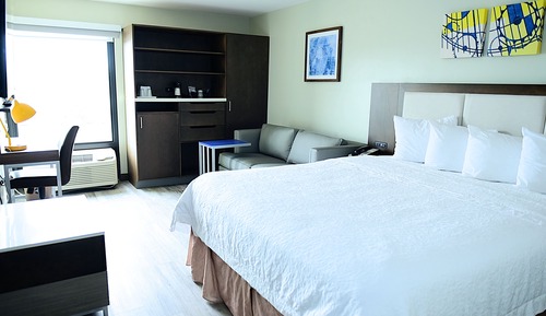 Deluxe Room, 1 King Bed, Non Smoking (Walk-in Shower;with Sofabed)