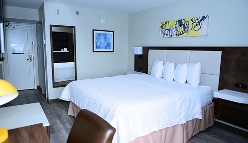 Deluxe Room, 1 King Bed, Non Smoking (Walk-in Shower)