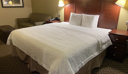 Standard Room, 1 King Bed, Non Smoking, Refrigerator & Microwave (Walk-in Shower;with Sofabed)