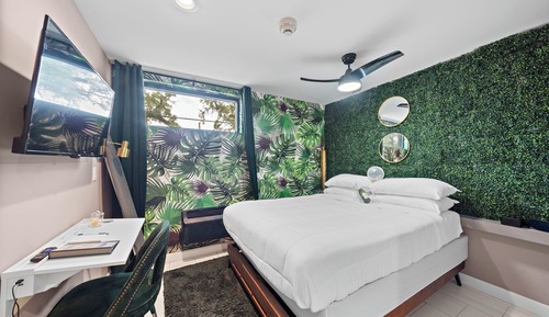 Single Room, 1 Queen Bed