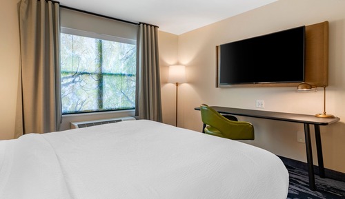 Room, 1 King Bed, Mountain View
