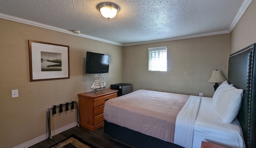 Economy Single Room