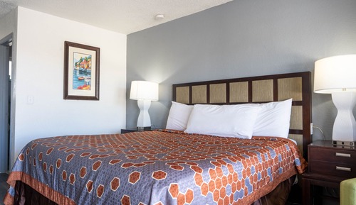 Room, 1 King Bed, Non Smoking
