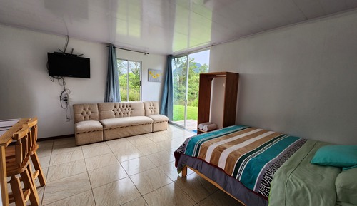 Basic Apartment, 1 King Bed