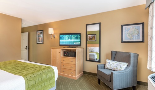 Accessible King Suite