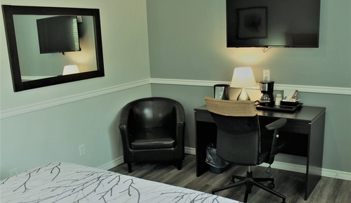 Premium Single Room, 1 King Bed, Pet Friendly