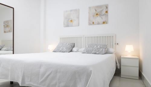 Apartment (3 Occupants)