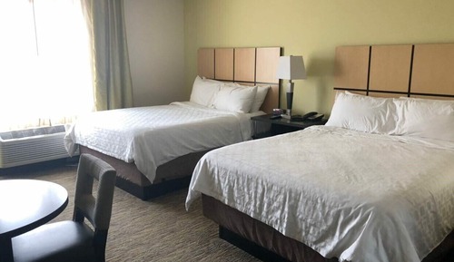 Studio Suite, 2 Queen Beds, Accessible (Mobility Tub)
