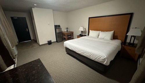 Deluxe Single Room, 1 King Bed - Standard King Room