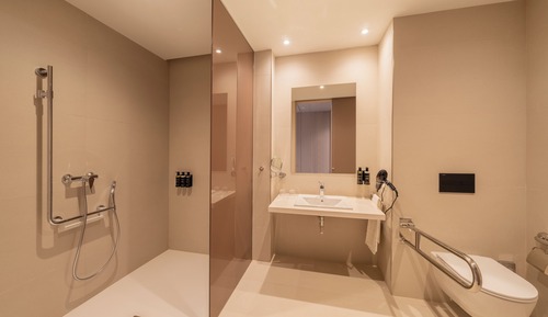 Deluxe Room, Terrace