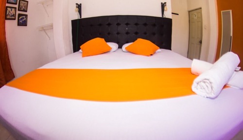 Basic Double Room