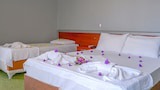 Basic Room, 1 Bedroom