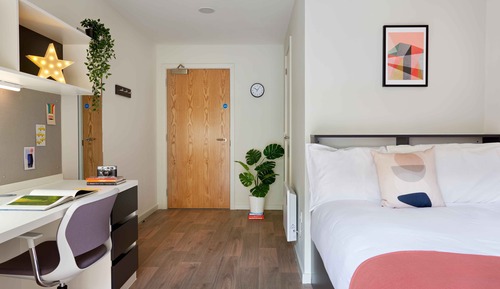 Comfort Single Room