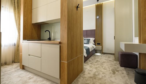 Deluxe Apartment