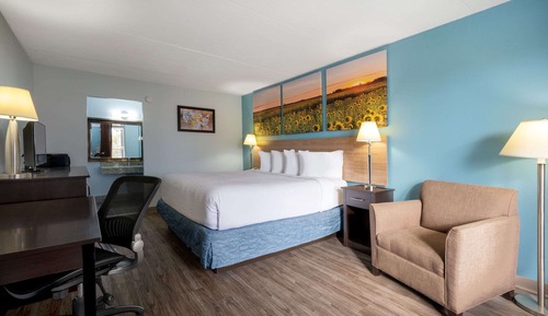 Room, 1 King Bed, Smoking