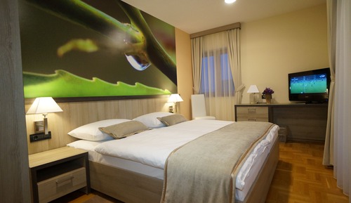 Suite with 1 Bedroom