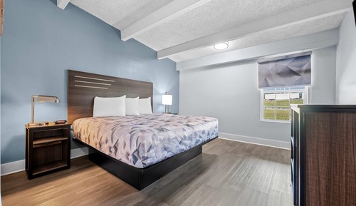 Room, 1 King Bed, Accessible, Non Smoking