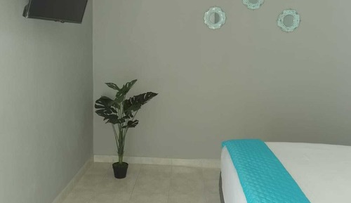 Comfort Apartment (#9)