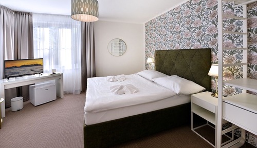 Basic Triple Room