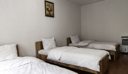 Basic Triple Room