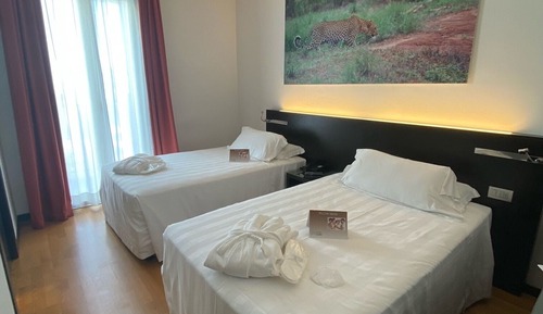 Double or Twin Room