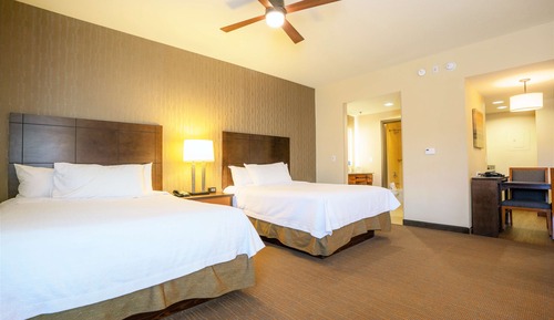 Studio Suite, 2 Queen Beds