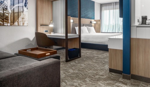 Suite, 1 King Bed (Mobility/Hearing Access, Roll-In Shwr)