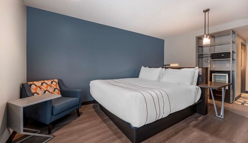 Standard Room, 1 King Bed, Accessible, Refrigerator (Larger Room)