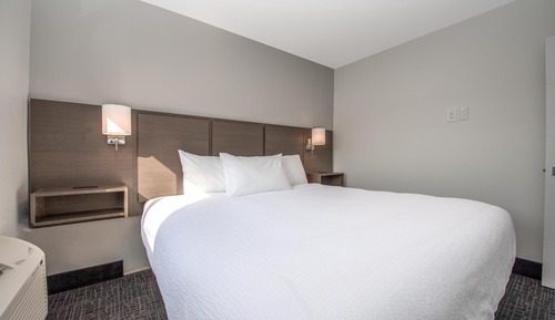 Room, 1 King Bed with Sofa bed
