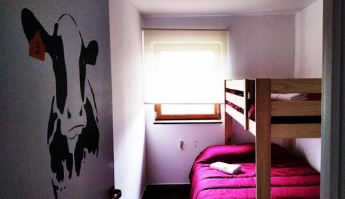 Basic Triple Room