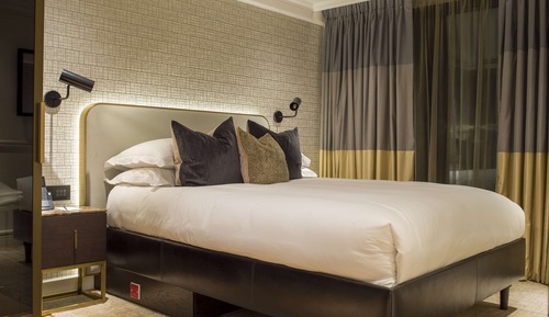 Room, 1 Queen Bed