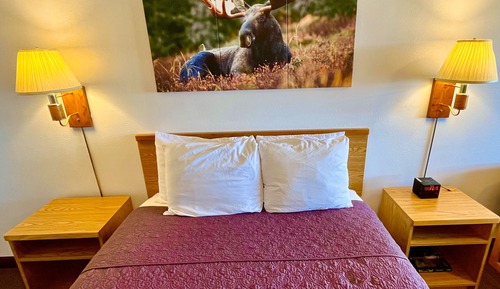 Room, 1 Queen Bed