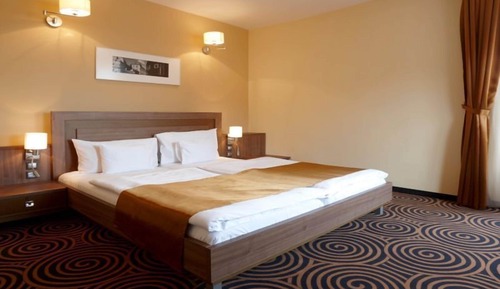 Superior Double or Twin room single use