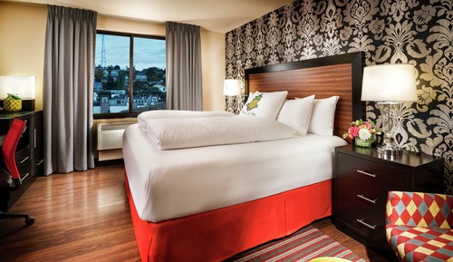 Room, 1 King Bed