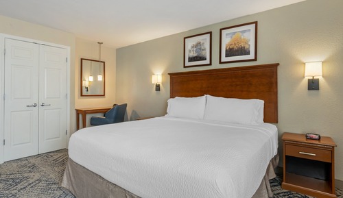 Suite, 1 Bedroom