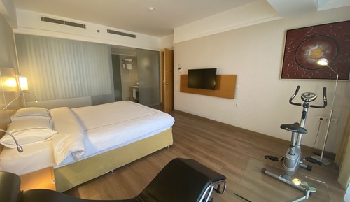 Executive Suite, 1 King Bed