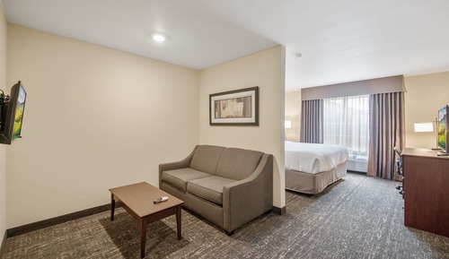 Studio, 1 King Bed with Sofa Bed, Accessible Tub, Audible/Visual Alert, Non Smoking