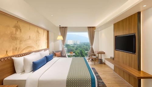 Deluxe Room, 1 Double Bed