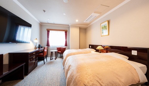 Standard Twin room - Non-Smoking