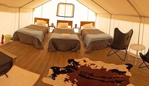 Homestead Tent | 3 single