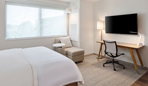 Studio, 1 King Bed with Sofa bed (Hearing Accessible)