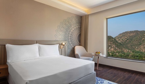 Room, 1 King Bed (Aravalli View)